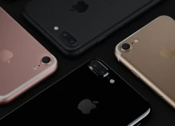 Apple điều tra sự cố iPhone 7 không nhận được SIM