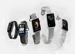 Apple lạc quan trước doanh số và triển vọng của Apple Watch 2