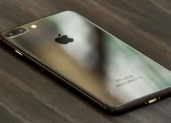 Apple tăng đặt hàng iPhone 7 sau sự cố của Samsung