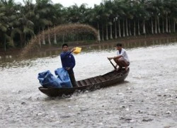 Báo động trộn hóa chất trong thức ăn chăn nuôi