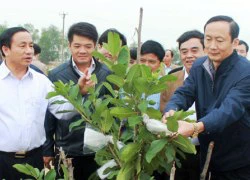 Bí thư Hà Tĩnh: Sự cố do Formosa gây ra để lại hậu quả nặng nề