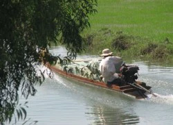 Cán bộ quản lý thị trường bị nhóm buôn lậu đánh tử vong