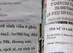 Cảnh giác với đạo chích vào vai người ở ghép