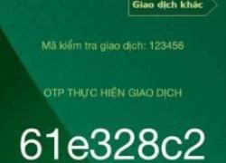 Chủ tịch Vietcombank phân trần vụ khách mất 500 triệu