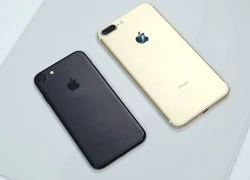 Dân buôn chùn tay, sợ iPhone 7 ế ẩm khi về nước