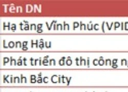 Điều gì đang diễn ra với nhóm cổ phiếu hạ tầng khu công nghiệp?