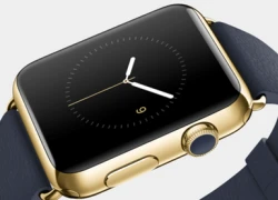 Đồng hồ hạng sang Apple Watch Edition 'biến mất'