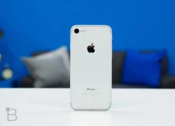 Giá iPhone 7 lao dốc, về mức 19 triệu đồng