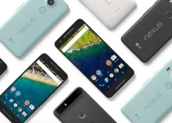 Google dự tính khai tử thương hiệu smartphone Nexus