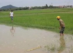 Hai HS tiểu học chết đuối thương tâm sau lễ khai giảng