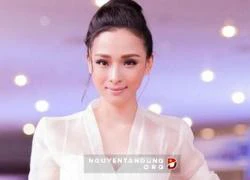 Hoa hậu Trương Hồ Phương Nga từng xinh đẹp như thế này