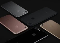 iPhone 7 chống nước nhưng Apple không bảo hành máy dính nước