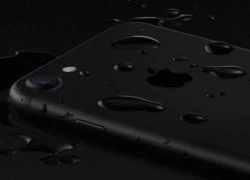 iPhone 7 có khả năng chống nước nhưng không được bảo hành nếu vô nước