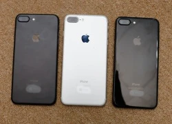 iPhone 7 Plus bản thử nghiệm xuất hiện tại Việt Nam