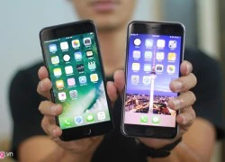 iPhone 7 sẽ không đạt được doanh số cao như iPhone 6S