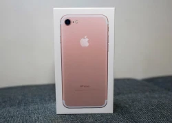 iPhone 7 tại Việt Nam bị đẩy giá lên hàng chục triệu đồng