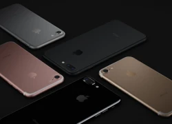 iPhone 7 và 7 Plus màu đen 'cháy hàng' sau 20 phút