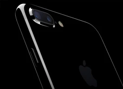 iPhone 8 được âm thầm xây dựng tại Israel