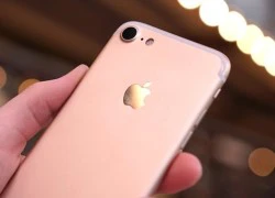 iPhone khai tử máy ảnh compact, iPhone 7 khai chiến DSLR