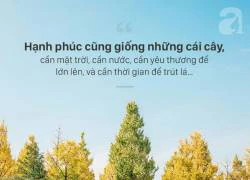 Khi chồng ngoại tình, thứ cần đập nát không phải chồng hay kẻ thứ ba...