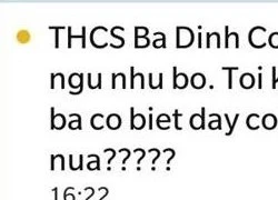 Kỹ sư 9X nhắn 1.700 tin 'con ông bà học ngu như bò'