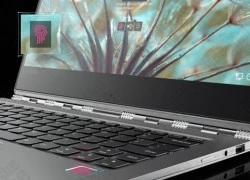 Lenovo, Intel, Synaptics và Paypal muốn kết thúc kỷ nguyên mật khẩu trên PC