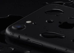 Lý do iPhone 7 khai tử giắc cắm tai nghe