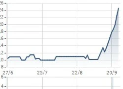 Mặc cho thị trường ảm đạm, những cổ phiếu này đã hơn 100% trong 1 tháng qua