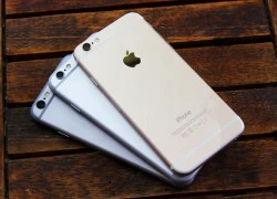 'Mua iPhone 6, nhưng iPhone 6 nào?'