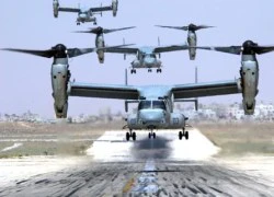 Mỹ- Nhật điều giàn máy bay MV-22 Osprey hùng hậu tập trận chung