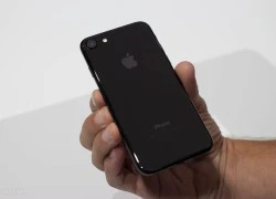 Người Hà Nội, Sài Gòn và Cần Thơ sục sạo iPhone 7 nhiều nhất