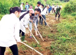 Nông thôn mới &#8211; động lực phát triển nông nghiệp