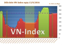 Phiên giao dịch chiều 13/9:VNM không 'cứu' được thị trường