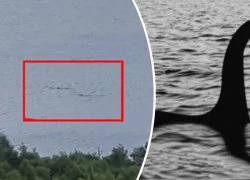 Quái vật hồ Loch Ness đã sinh 2 quái vật con?