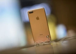 Sau hai ngày mở bán, iPhone 7 rớt giá hơn 10 triệu đồng