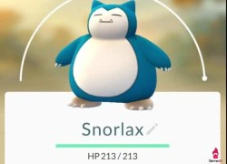 Snorlax xuất hiện ở Hà Nội, game thủ nháo nhào đi bắt chật kín một ngõ nhỏ