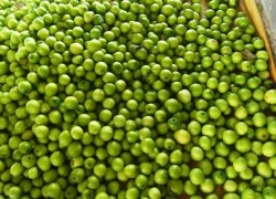 Táo Ninh Thuận giảm giá chỉ còn 5.000 đồng/kg