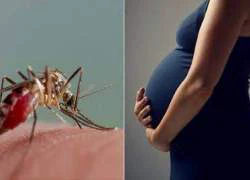 Thêm bệnh nhân mắc Zika sau khi trở về từ Việt Nam