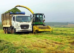 Thu hút doanh nghiệp đầu tư vào NN: Giải pháp hay, chờ hiện thực hóa