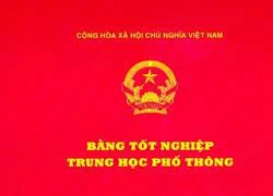 Trưởng Ban Tổ chức Thành ủy bị thu hồi bằng THPT