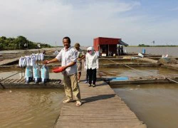 Từng mất trắng vì bão, vẫn thành tỷ phú nhờ... cá