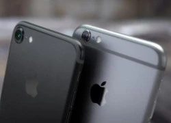 Vì sao iPhone 7 về Việt Nam trước ngày ra mắt?