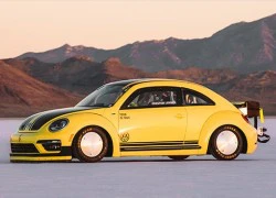 Volkswagen Beetle phá kỷ lục thế giới với tốc độ 330 km/h