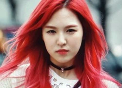 Wendy Red Velvet khoe bảng điểm đẹp như mơ