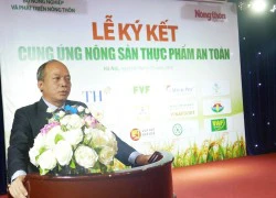 15 DN cam kết cung ứng nông sản thực phẩm an toàn tới người dân