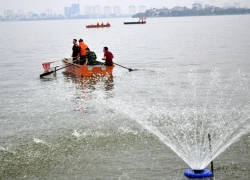 200 tấn cá chết bất thường ở Hồ Tây, hành khách ôm mìn tự sát