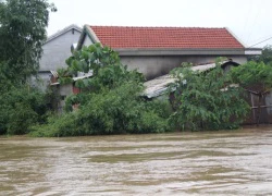 Ảnh: Nước mênh mông, người Huế đi thuyền từ nhà ra ngõ