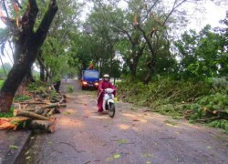 Áp thấp nhiệt đới suy yếu, miền Trung tiếp tục mưa to