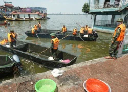 Ba Bộ cùng vào cuộc truy nguyên nhân cá Hồ Tây chết