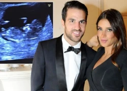 Cesc Fabregas sắp đón quý tử